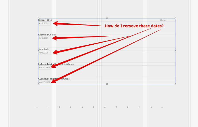Blog dates removal