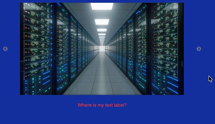 the text label doens't show on the web?