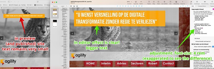 2025-03-14 091927AgilityManagementBV.NL.sparkle(1)