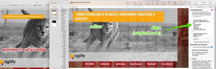 2025-03-14 091654AgilityManagementBV.NL.sparkle(1)