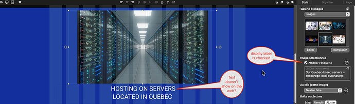 the label on the canvas