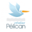 ChristianLePelican